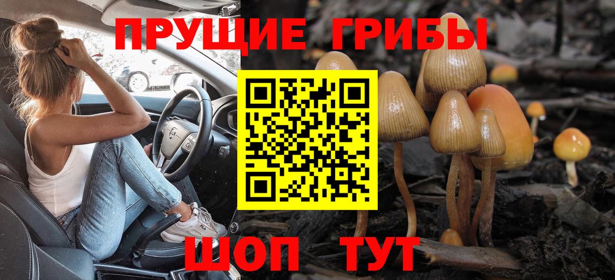 Россия  Галлюциногенные грибы мухоморы  Вход с VPN  Галлюциногенные грибы ЛСД 